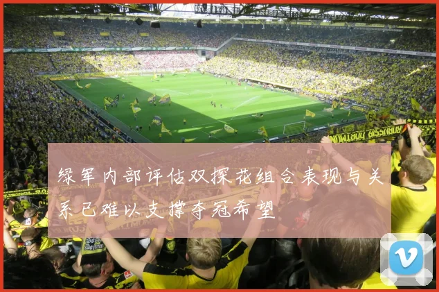 绿军内部评估双探花组合表现与关系已难以支撑夺冠希望
